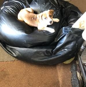 Meet your Posher, Travis